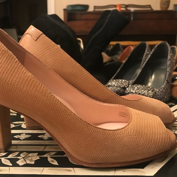 TARYN ROSE - Picture 1 of 8